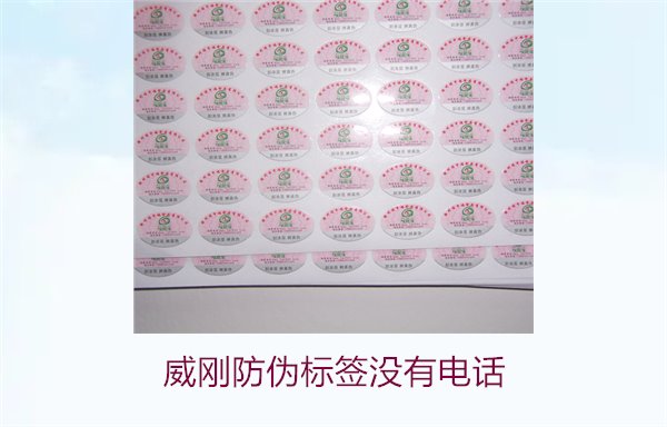 威剛防偽標(biāo)簽沒有電話，如何通過其他方式驗證威剛防偽標(biāo)簽的真?zhèn)?圖3)